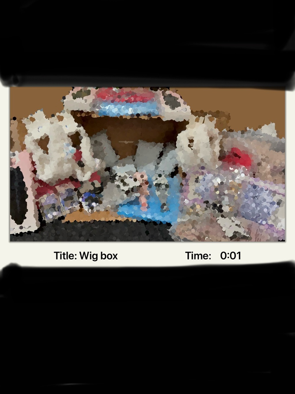 Wig and Hair Mystery Box